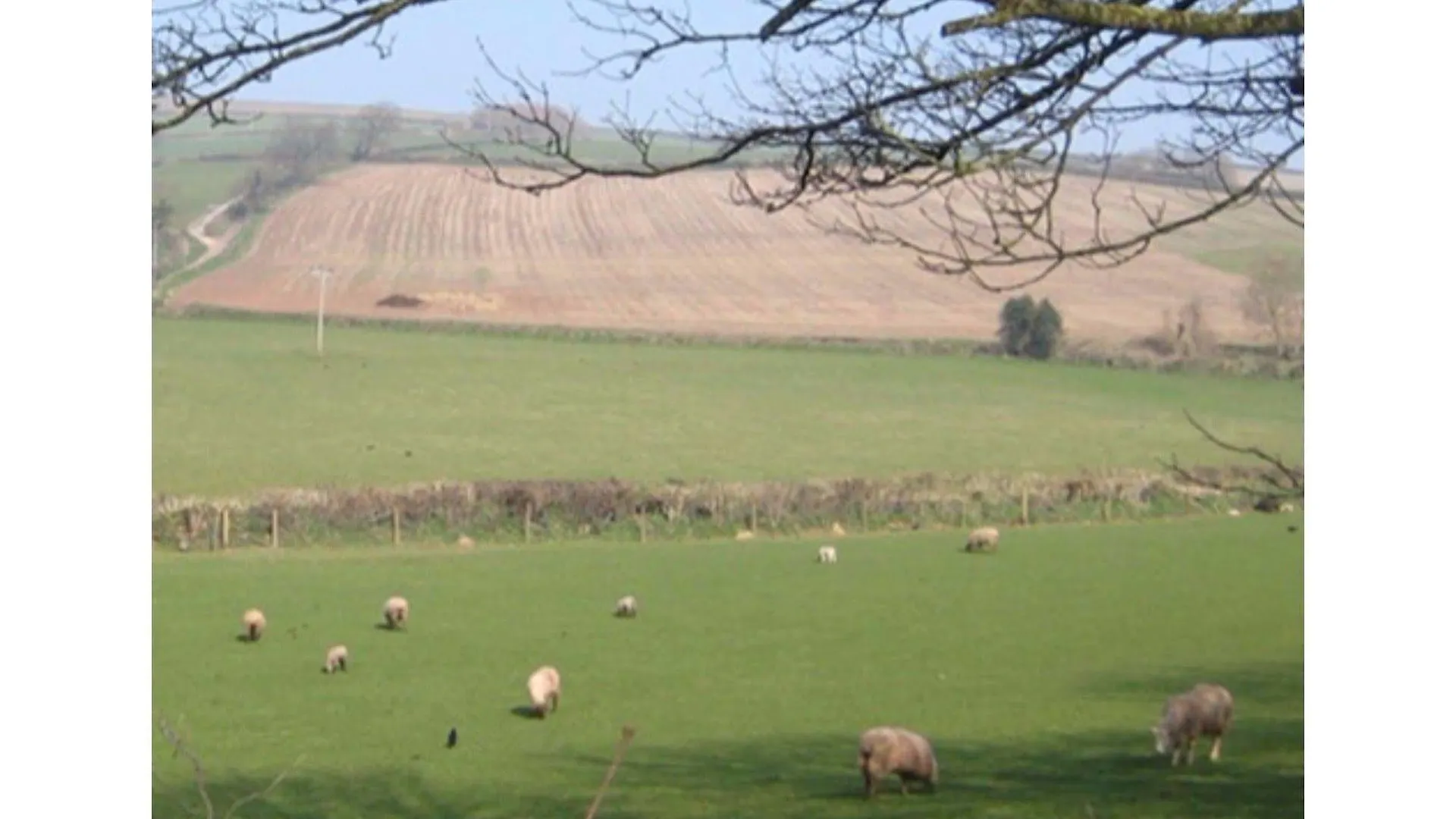 The Arlington Hotel Hele 3*,  United Kingdom